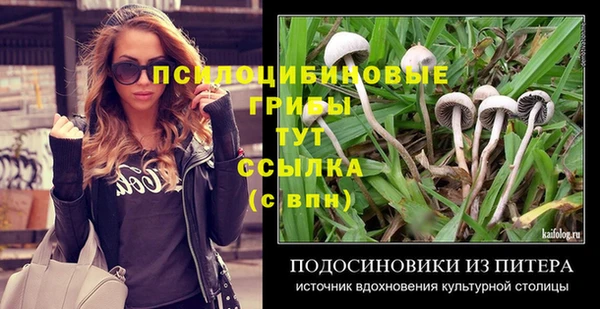 Альфа ПВП Армянск
