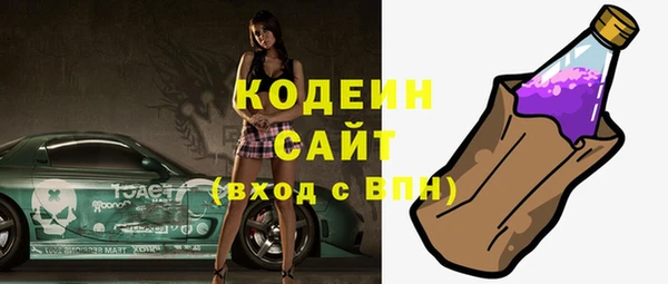 гидра Снежногорск