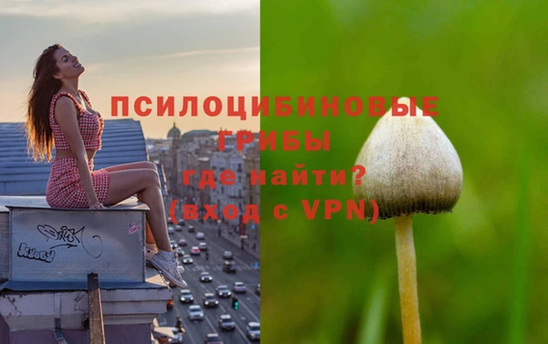 кокс Алзамай