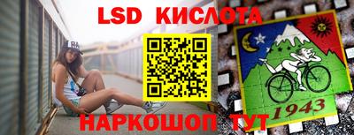 шишки Краснодар