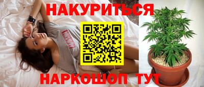 молекула духа Краснознаменск