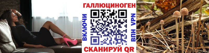 darknet какой сайт  закладки  Ефремов  Галлюциногенные грибы Psilocybe  mega ссылки 