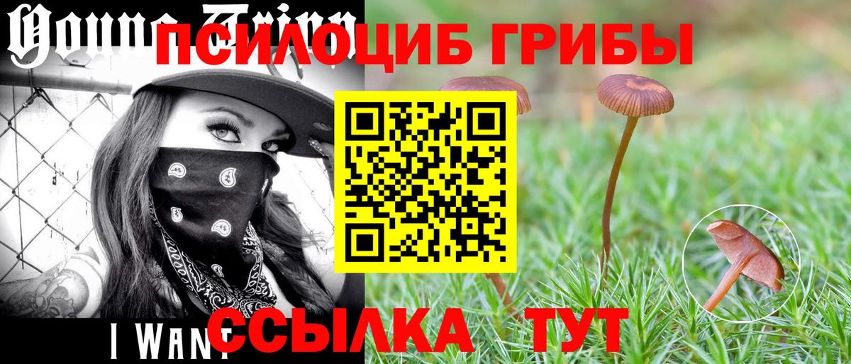 Ефремов  Галлюциногенные грибы мицелий  Вход с VPN  Галлюциногенные грибы Cubensis 
