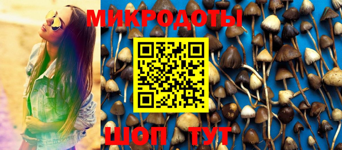 Галлюциногенные грибы мицелий Ефремов